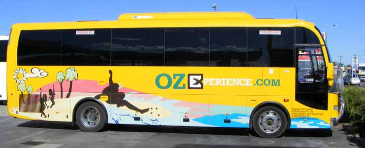 Oz Experience BCI coach